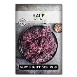 Sow Right Seeds - Scarlet Kale Seeds for Planting - Non-GMO Heirloom Packet with Instructions to Plant & Grow an Outdoor Home Vegetable Garden - Curly Kale - Homegrown Superfood - Make Kale Chips (1)