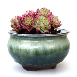 Summer Impressions 8 Inch Glazed Terracotta Plant Pot Round Ceramic Succulent Planter Pot with Drainage and Saucer Cactus Clay Pot Bonsai Pot (White and Green)