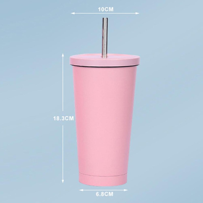 Stainless Steel Straw Cup Reusable Water Bottle Vacuum Cup Gift