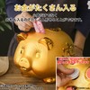 RYOHIN Lab. Pig Piggy Bank, Gold, Good Luck Up, Lucky