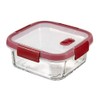 Keter Cook glass container, transparent / red, 33 x 18