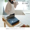 ideaco Thin but Premium Senshu Towel, 19.7 x 43.3 inches