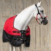 Sunride Nuuk Soft Polar Fleece 1200D Ripstop Horse Blanket Breast