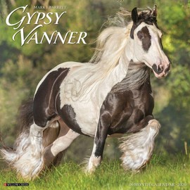 Gypsy Vanner Horse 2026 12" x 12" Wall Calendar