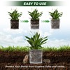 Ryxrhswzp Gopher Baskets 1 Gallon 20 Pcs Root Guard Gopher