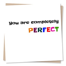 Adorable Birthday, Valentines or Anniversary Card For Husband or Boyfriend - You Are Completely Perfect - Birthday Card For Male Partner