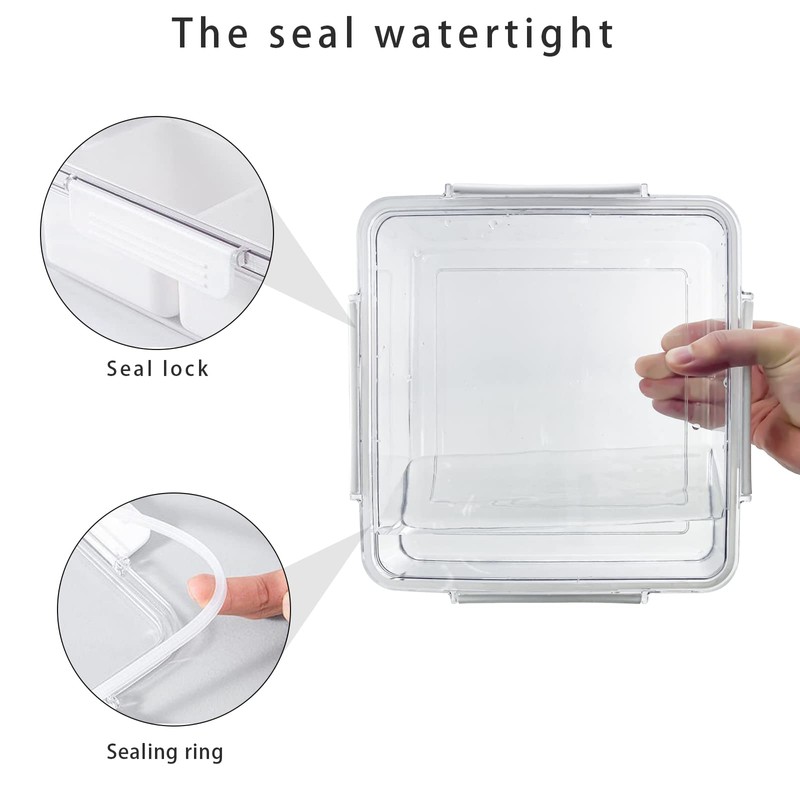 Divided Veggie Tray with Lid Stackable Vegetable Storage Square Appetizer