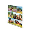 HERMA 19342 Portfolio Folder DIN A4 Animal Worlds Horse Meadow,