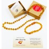 Amber Jewelry Store Natural Baltic Amber Necklace Bracelet Set Amber
