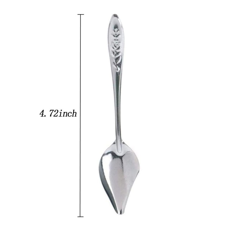 YIUIRUOI 6 Stainless Steel Pet Feeding Spoons, Parrot Feeding Tool,