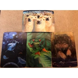 3-D Lenticular Wildlife Trading Card Set - Bear-Frog-Wolf