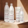 Professional Magnificent Shampoo - Shampoo para cabellos teñidos-tratados 500 ml