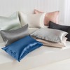 LINENOVA 100% Mulberry Silk Pillowcase – Standard/Queen 50x75cm, 1 Pack,