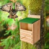 Owl House Owl Box with Bird Stand Design, Owl Nesting