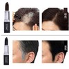 BEAUTYBIGBANG Herbal Extracts Hair Dye Pencil Dye, Hair Coloring Pen