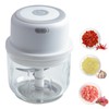 Electric Garlic Chopper Portable Small Food Processor, 300ML Onion Chopper,