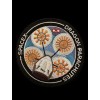 Original SpaceX NASA Patch Dragon Parachutes Splashdown 4" Iron On
