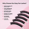 LLBA Easy Fan Eyelash Extensions | 0.03~0.07mm Thickness | C