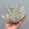 Abbott Collection 20-SEASHORE/25 Large White 3D Starfish Decorative Resin Figurine