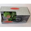 Anne Geddes 579171 Green Snail 9 inch Baby Doll -