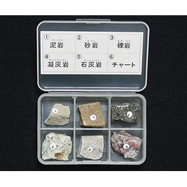 Rock Specimen (Rock Specimen 6 Types of Sediment Rocks) / 3-657-02