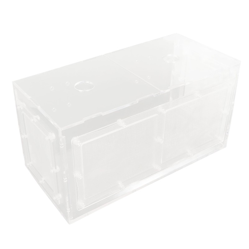 Fish Breeding Isolation Box Transparent Mesh Side Fish Tank Incubator