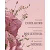 Rose Perfumed Hand Cream by LOccitane for Women - 5.2