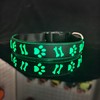 DOGLED Flashing USB-C led Light up Dog Collar, Subversive 3D