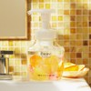 Biore The Hand Foaming Hand Soap, Silent Forest Scent, Pump