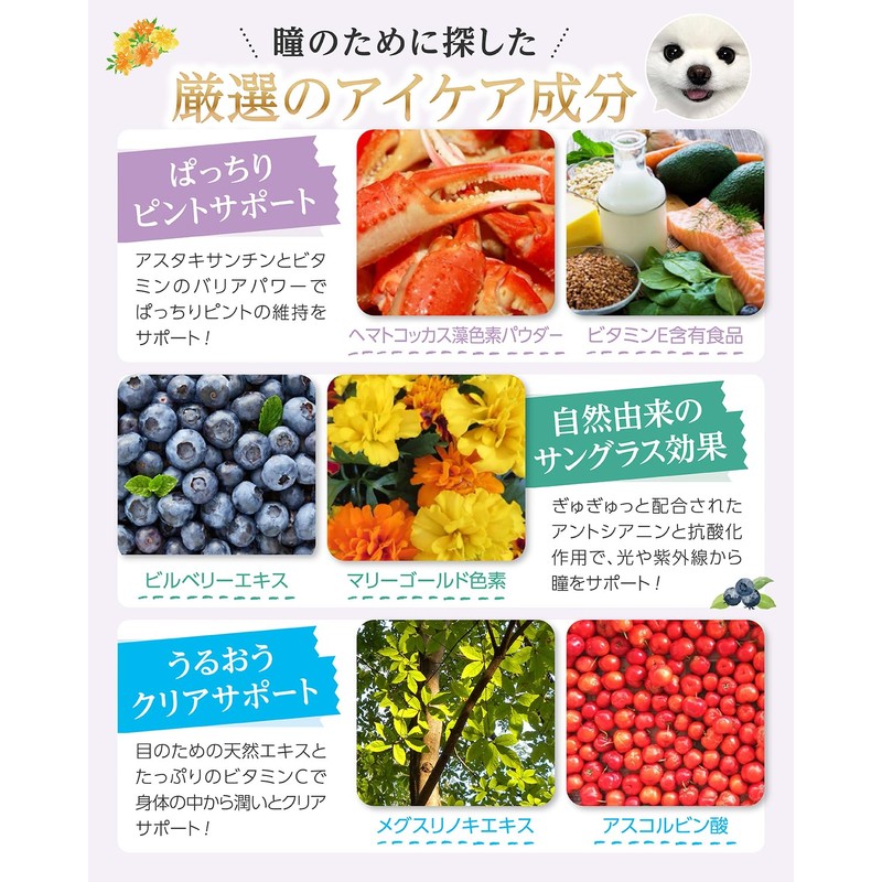 アニハ 犬用 アイケアサプリ【獣医師監修】11種のアイケア成分・22種の乳酸菌・NMN配合 瞳の健康サポート 60粒入り