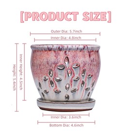 Beitewei Orchid Pots with Holes 5.7 inch Round Ceramic Flower Container Succulent Plant Planter Butterfly Pot Saucer Windowsill Contemporary Home Decoration (Purple Over Cream)