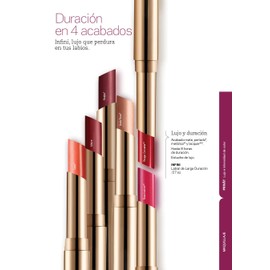 L'Bel Infini Long-lasting Lipstick, Intense Color, Long-lasting, Color: Acajou