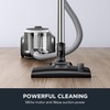 Eureka Bagless Canister Vacuum Cleaner, Lightweight Vac for Carpets and