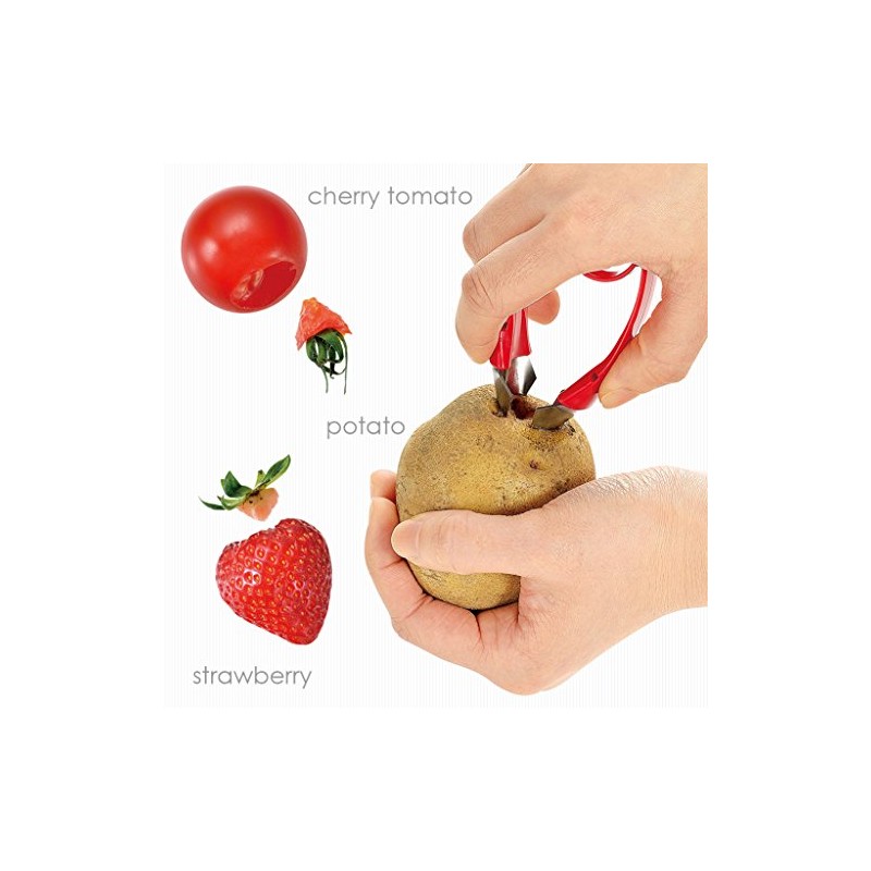 Shimomura industrial Furubeji Pico het up FV-601