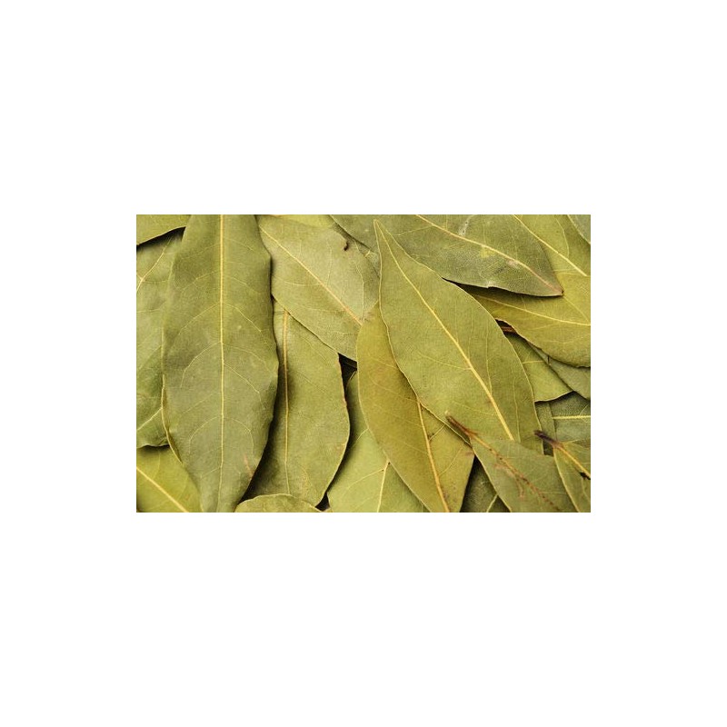 EliteKoopers 100g Indian Spice Dry Bay Leaf Leaves Dried Indian