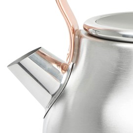 Haden Heritage 1.7 Liter Stainless Steel Electric Kettle, Hot Water Kettle with 360-Degree Base and Auto Shutoff, Steel & Copper