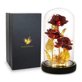 Mothers Day Beaity and the Beast Rose Gifts for Women, Birthday Gifts for Women, Gifts for Mom, Light Up Rose in Glass Dome,Eternal Rose Flower for her, Mother's Day Rose Gift for Wife