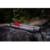 TTArtisan 50mm F1.2 Micro Four Thirds Prime Lens (Domestic Regular