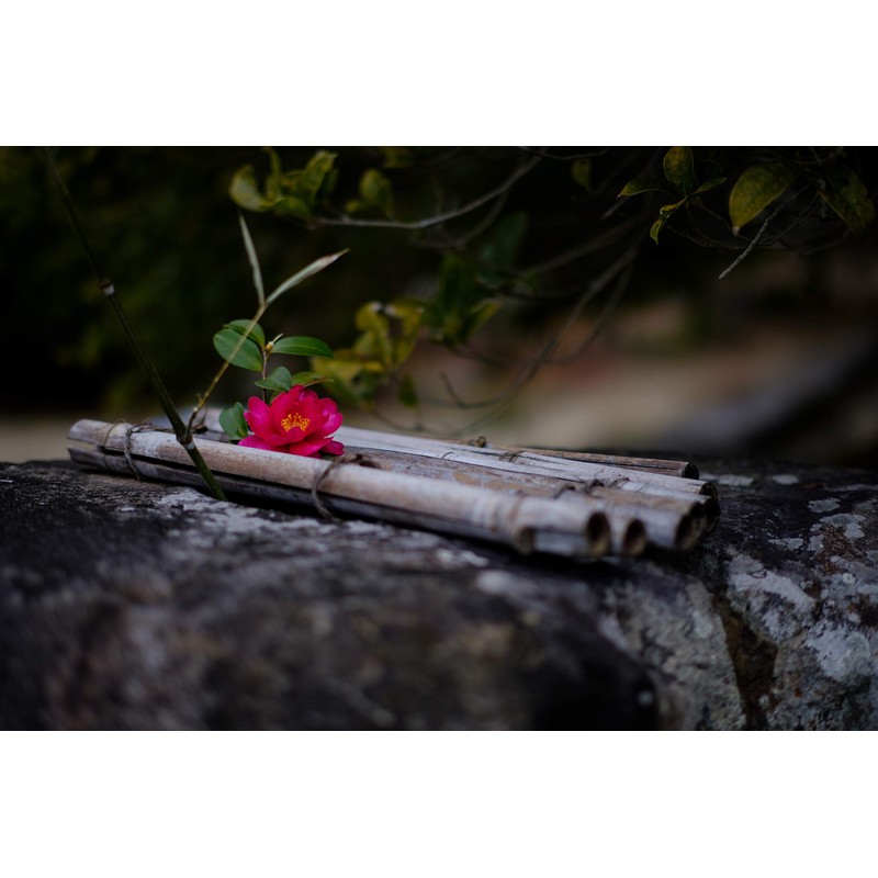 TTArtisan 50mm F1.2 Micro Four Thirds Prime Lens (Domestic Regular