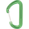 Dmm Spectre 2 Wire Carabiner, green