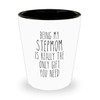 HollyWood & Twine Funny Stepmom Gift for Stepmoms from Stepdaughter