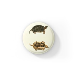 Spotted Turtle Pin, Turtle Pin, Reptile Pin, Vintage Turtle Pin, Spotted Turtle Keychain, Turtle Keychain, Turtle Magnet, Spotted Turtle Magnet (1 Pin - 1.25in)
