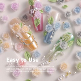 2 Box Flower Nail Art Charms，6 Grids 3D Rose Flowers for Nails，Flat-Back Resin Colored Rose Camellia Flower Nail Charms for Women Nail Decoration Valentine's Day Wedding Party DIY Craft Supplies