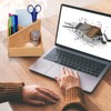 Relaxdays Bamboo Pen Holder, Desk Organiser, Office, 3 Compartments, H