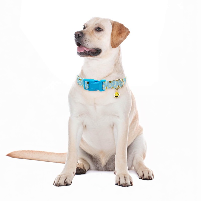 Gelwoo Dog Collars with Buckle Adjustable for Cute Girl Female