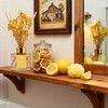 Reed Diffuser Set - 3.38 fl oz Lemon Verbena Premium