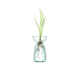 LSA Flower Base, Clear, W7xD7xH13cm, LSA LCQ07, G1583-00-161