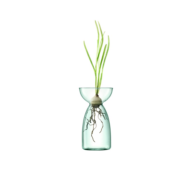 LSA Flower Base, Clear, W7xD7xH13cm, LSA LCQ07, G1583-00-161