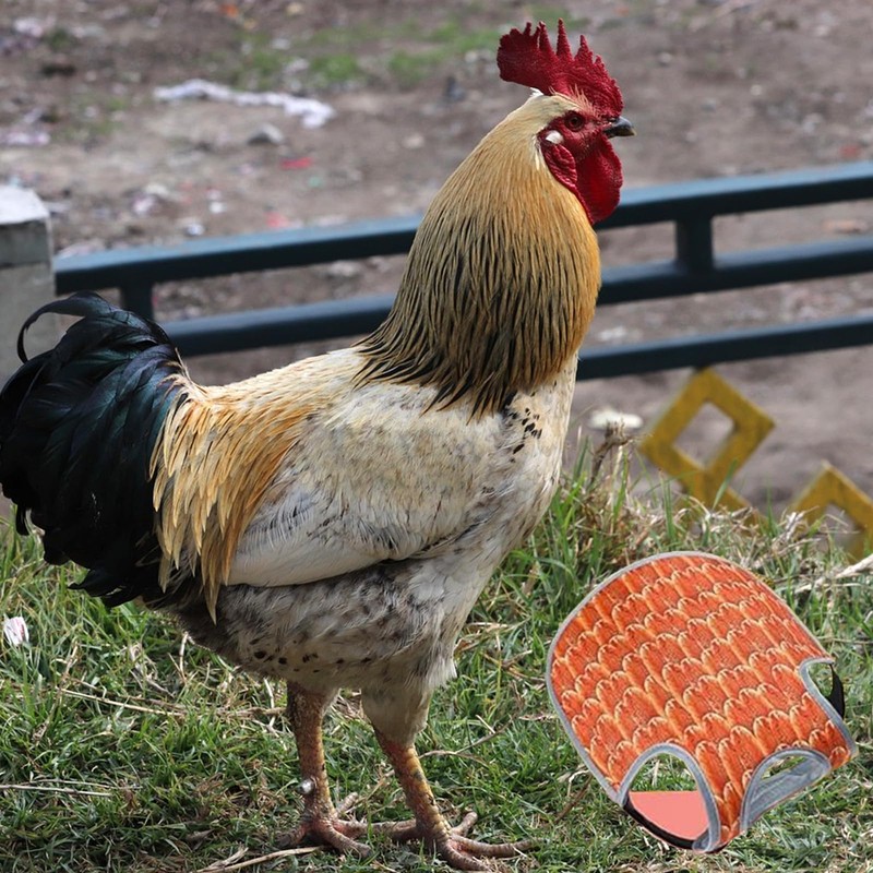 Aihmilcl Chicken Saddle for Hens for Protection Hen Saddle for