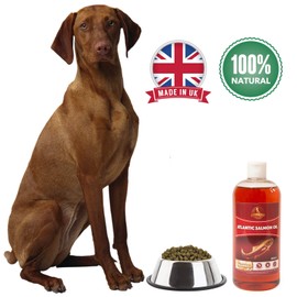 100% Atlantic Salmon Oil for Dogs & Cats - A Compete Health Supplement Containing Omega 3 & 6 For All Round Animal Health Benefits Including Healthy Skin & Coat, Eyes & Joint Care (250ml)